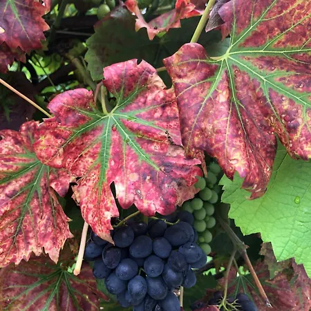 Little Auf 2 Etagen Raben Steinfeld